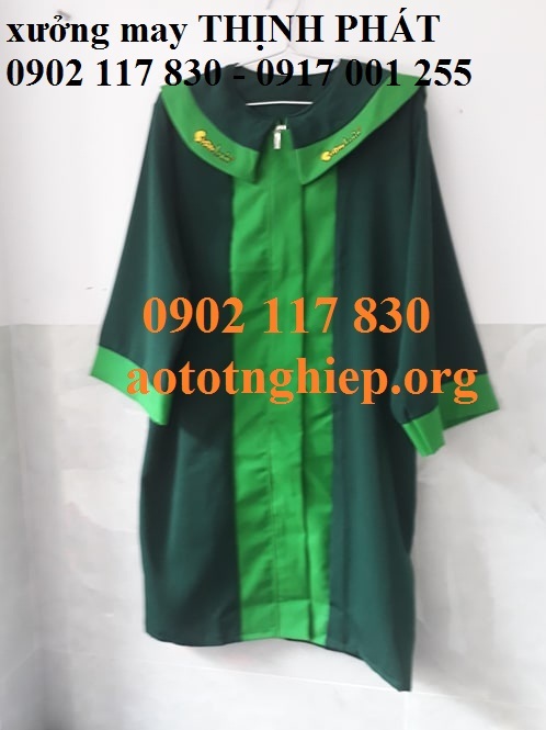 áo tốt nghiệp tiểu học hcm